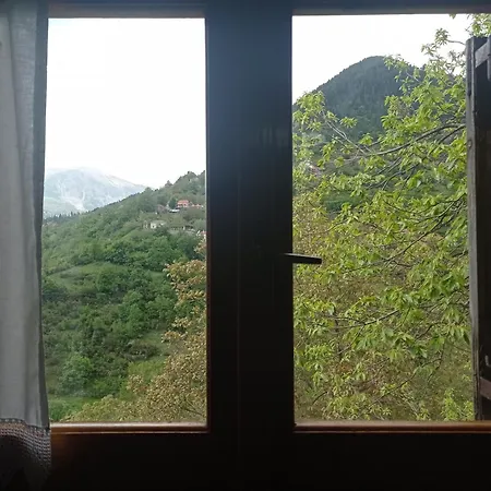 Krania House #petrilo #argithea #agrafa *
